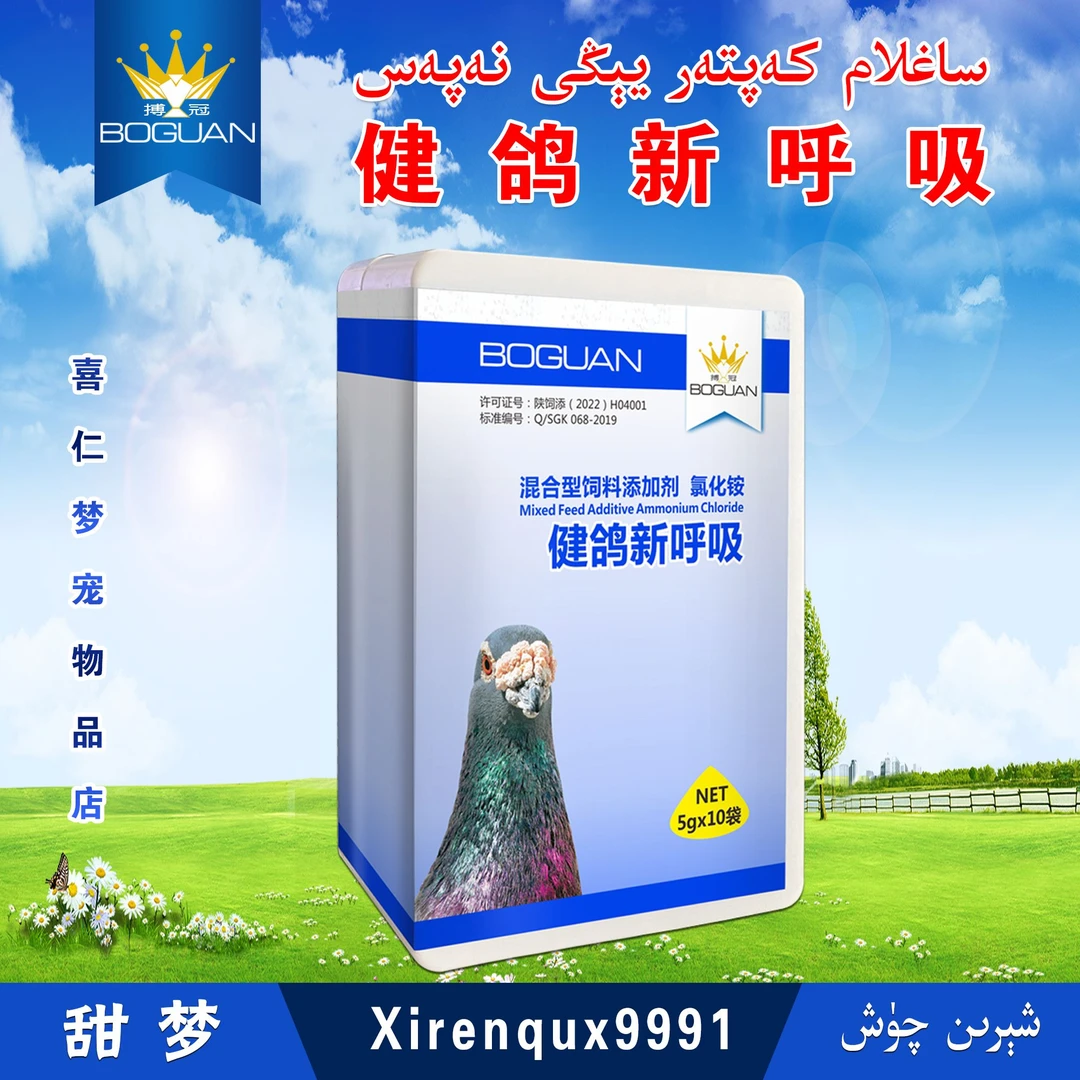 xirenqux搏冠健鸽新呼吸 saglam kaptar yigi napas【新疆包邮】