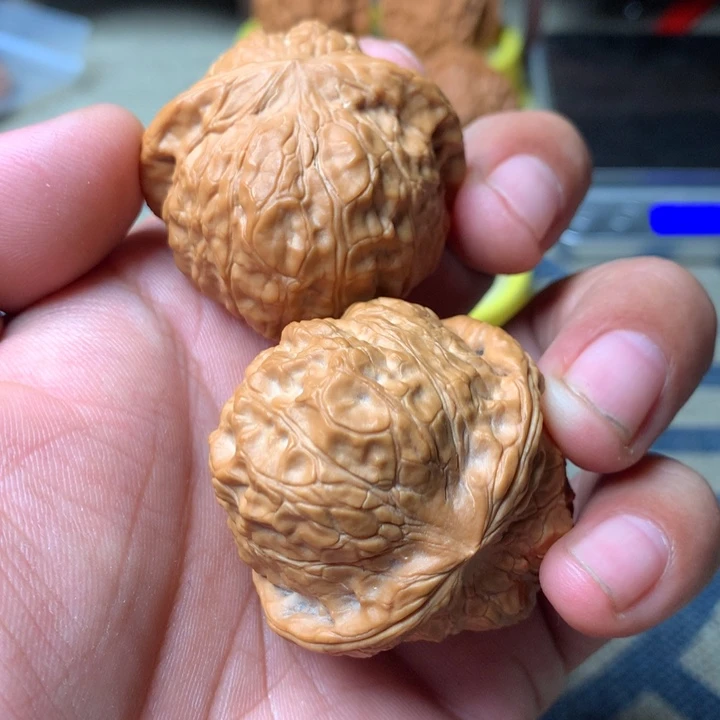 文玩核桃把件南瓜蹲好看