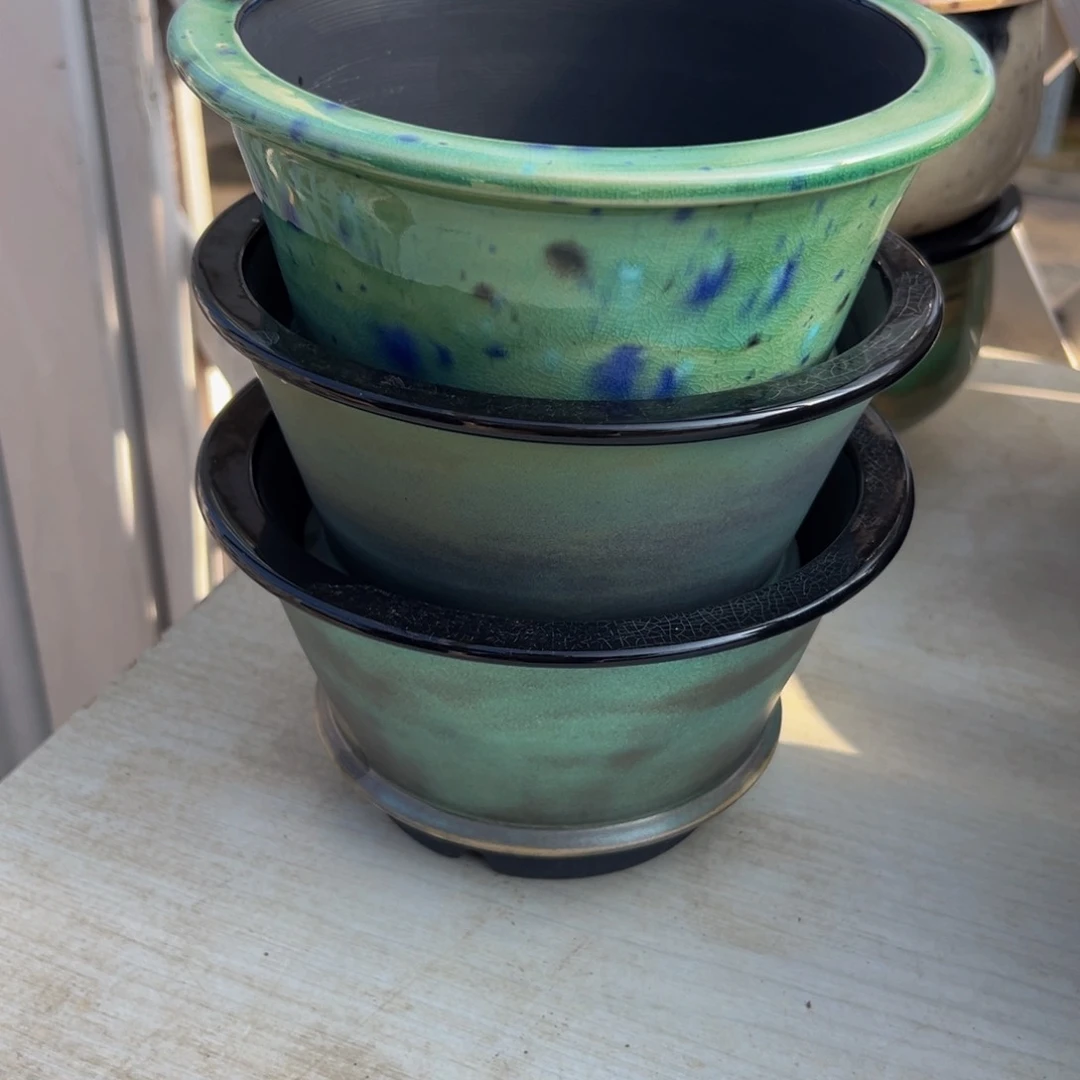 多肉一物一拍0802-17