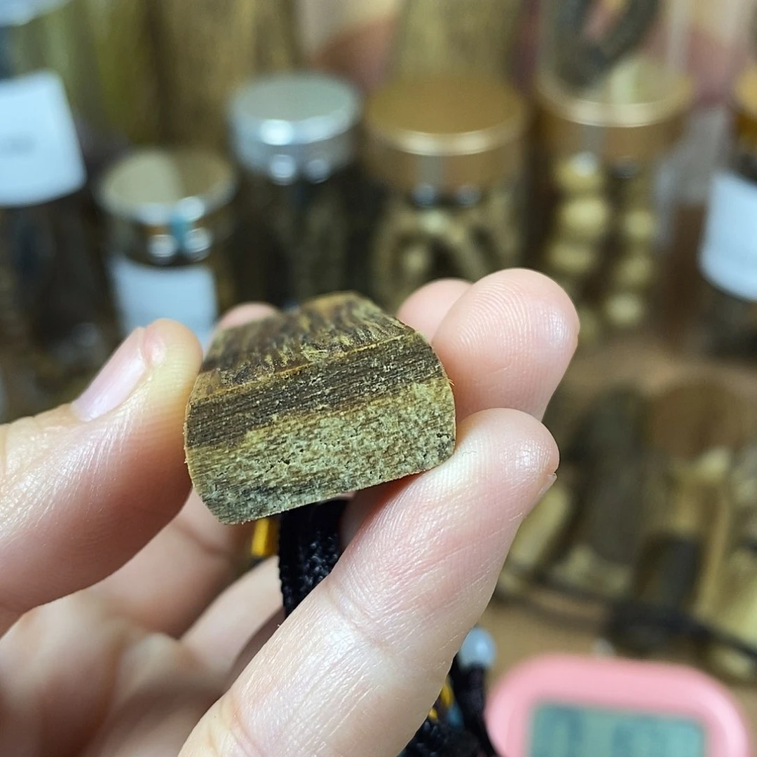 C*K柬埔寨261户咯哦哦