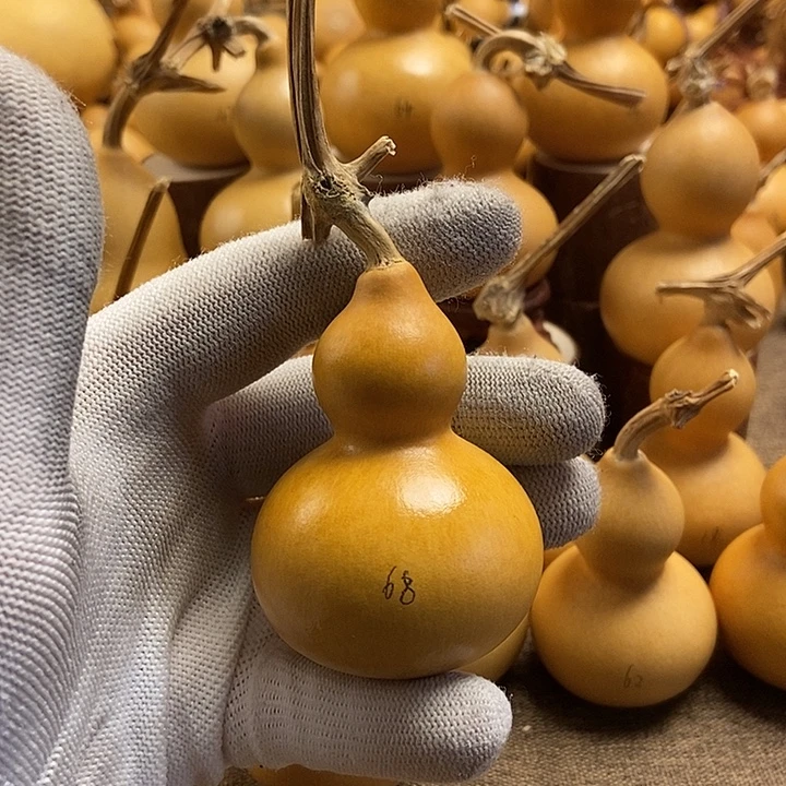 文玩葫芦 完美主义者 慎拍68