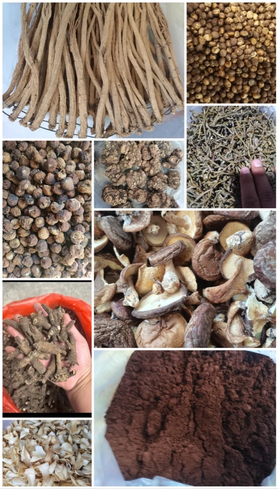 云南农家特产好物非香菇