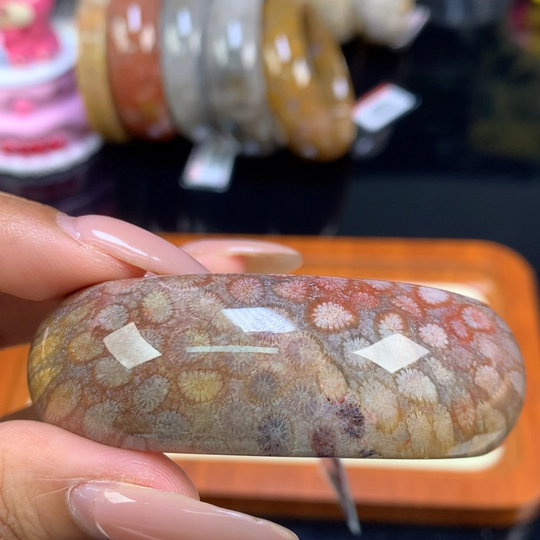 【闪购商品】颈饰未镶嵌硅化珊瑚（珊瑚玉）13号 55.6