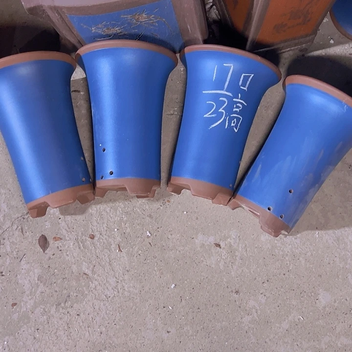 周深周深周深周深