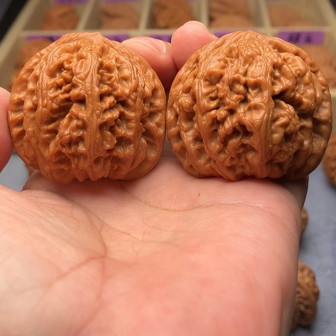 把件文玩核桃平谷大粗筋44（头货精品