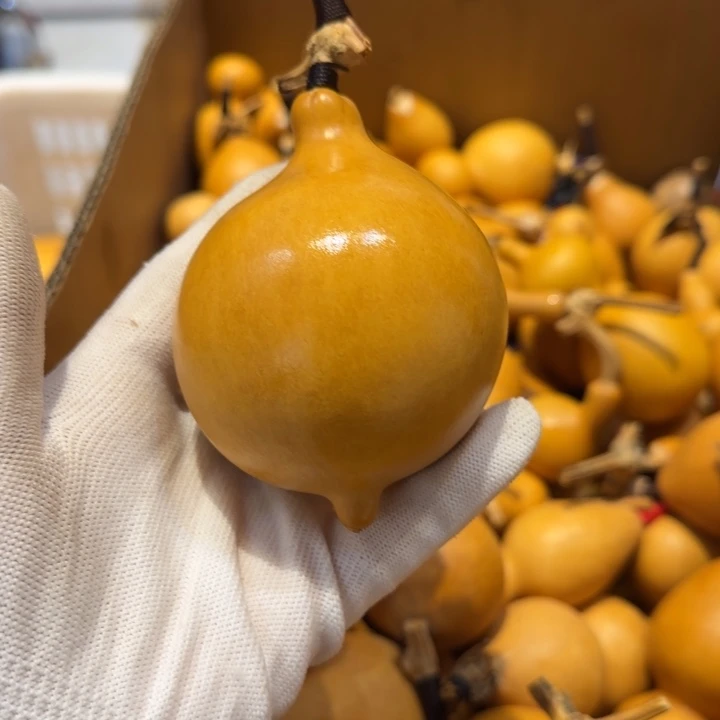 @**铛哈哈哈哈哈哈哈哈哈