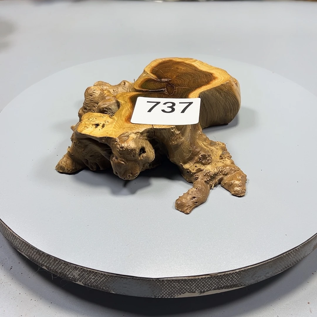 大果紫檀（缅甸花梨）羽*