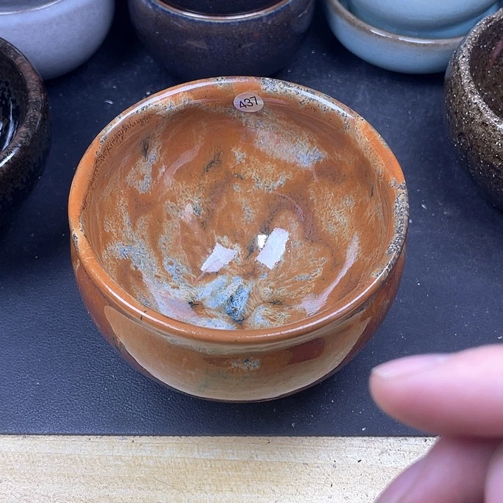 茶宠436$$$$$$$$$$$$