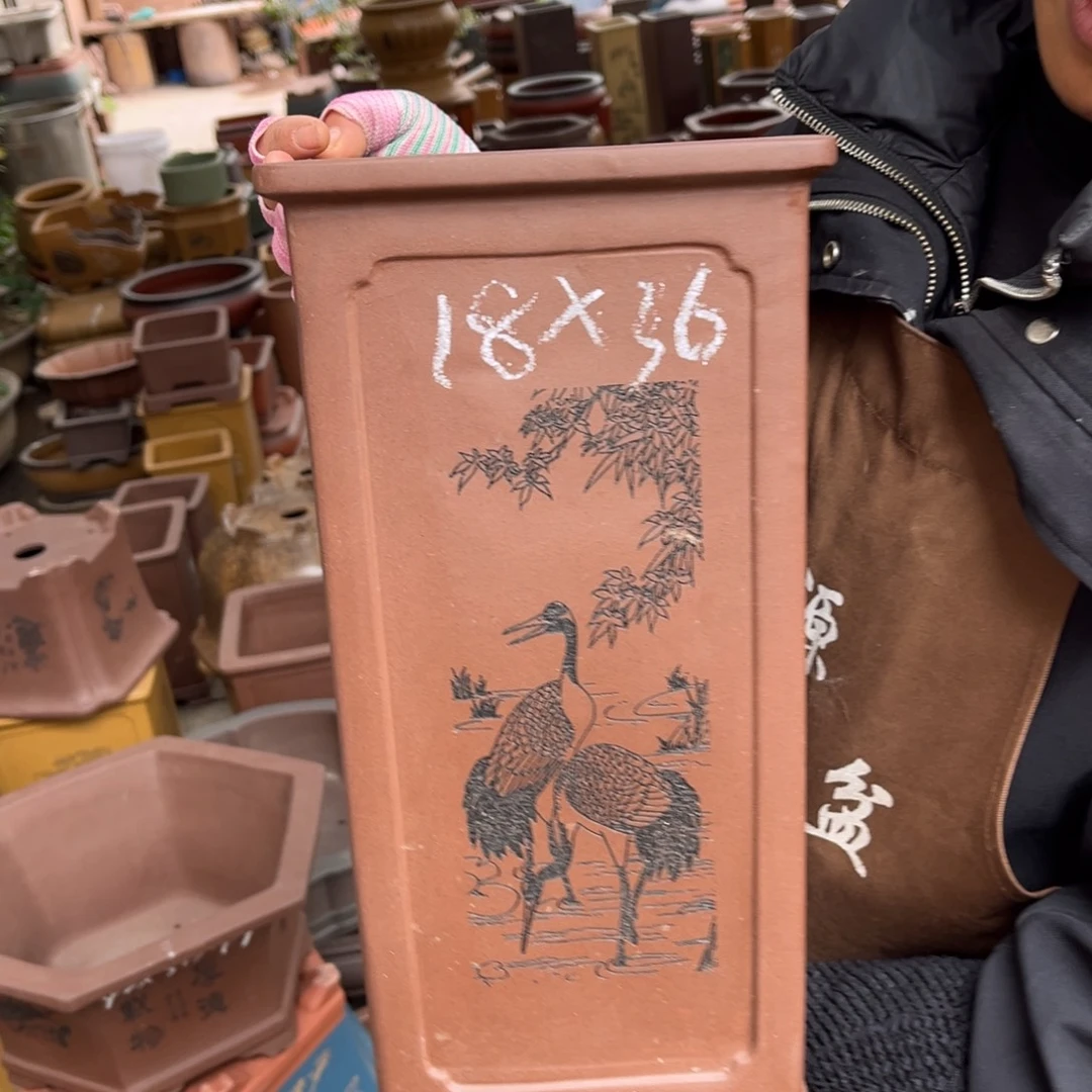 花盆紫砂盆景艺术