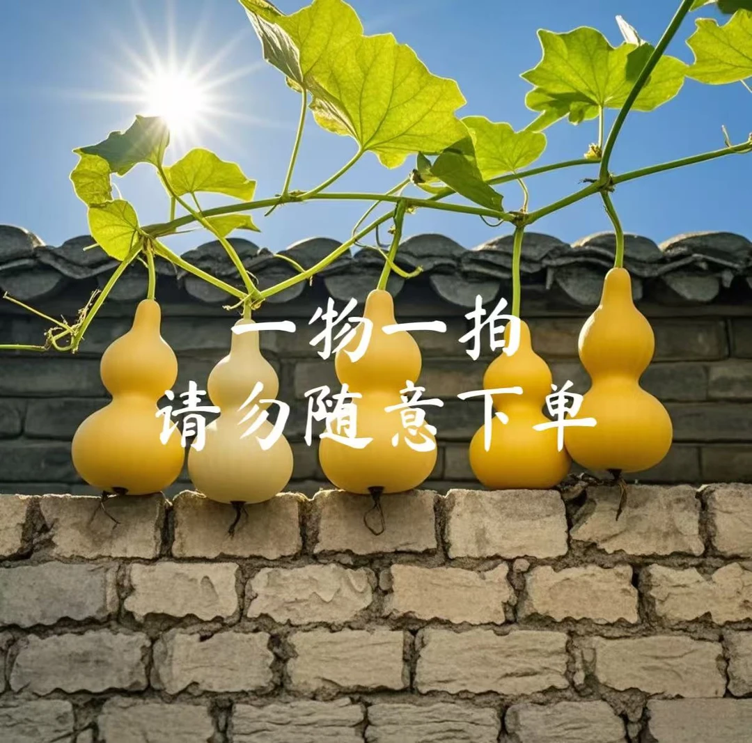 【福利专用】一物一拍 多拍无效