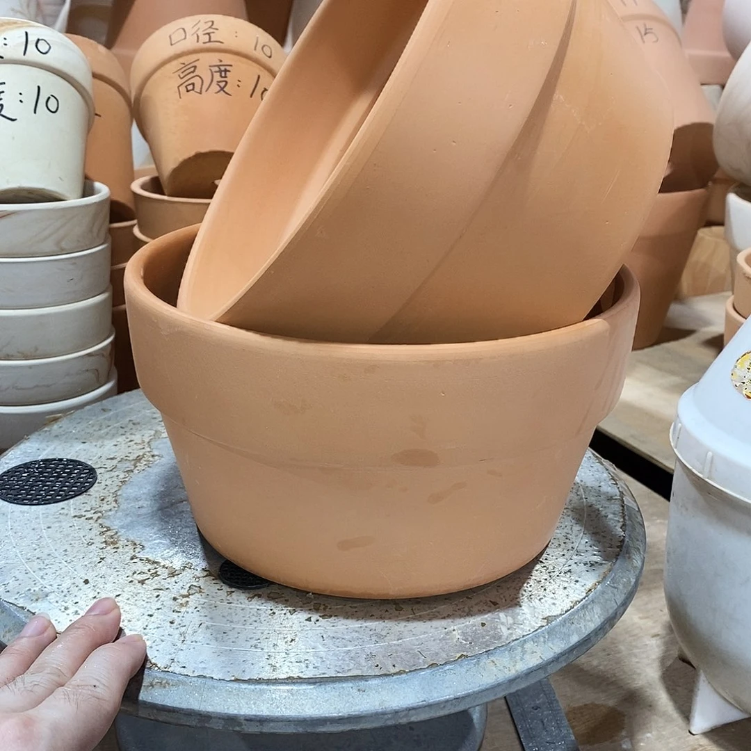 红陶20×11-2