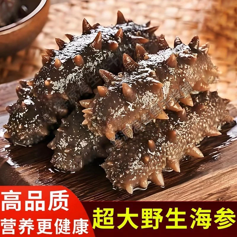 （辽参）大连即食海参鲜食海参Q弹口感送礼佳品