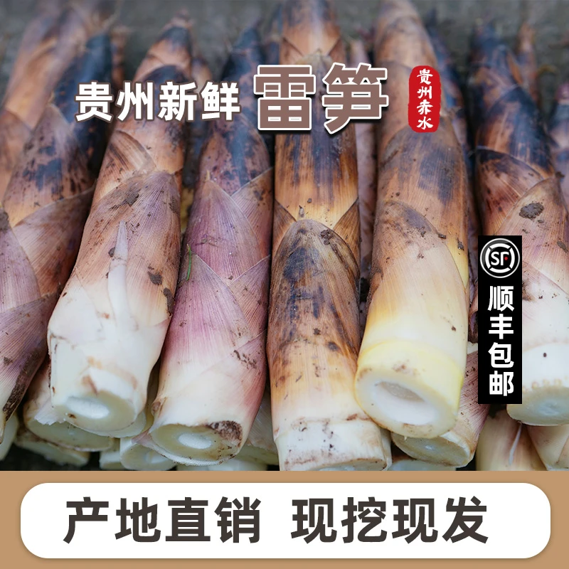 【中通】贵州春季新鲜雷笋竹笋嫩脆春笋现挖时令蔬菜美味煲汤春笋