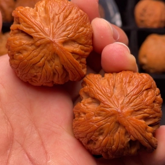 文玩核桃把件秦岭山脉核桃