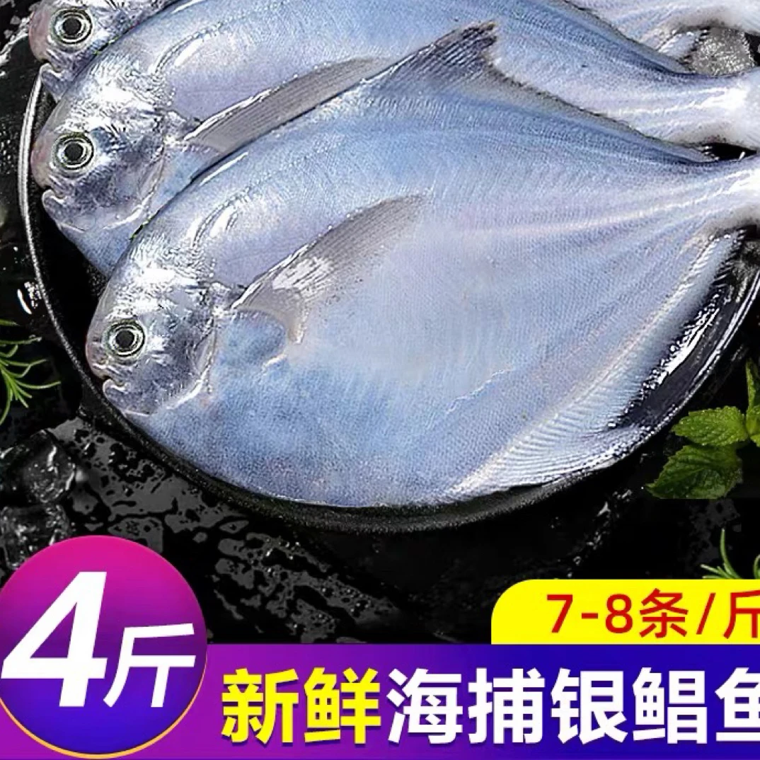 顺丰包邮【4斤】新鲜海捕银鲳鱼刺少肉嫩发货