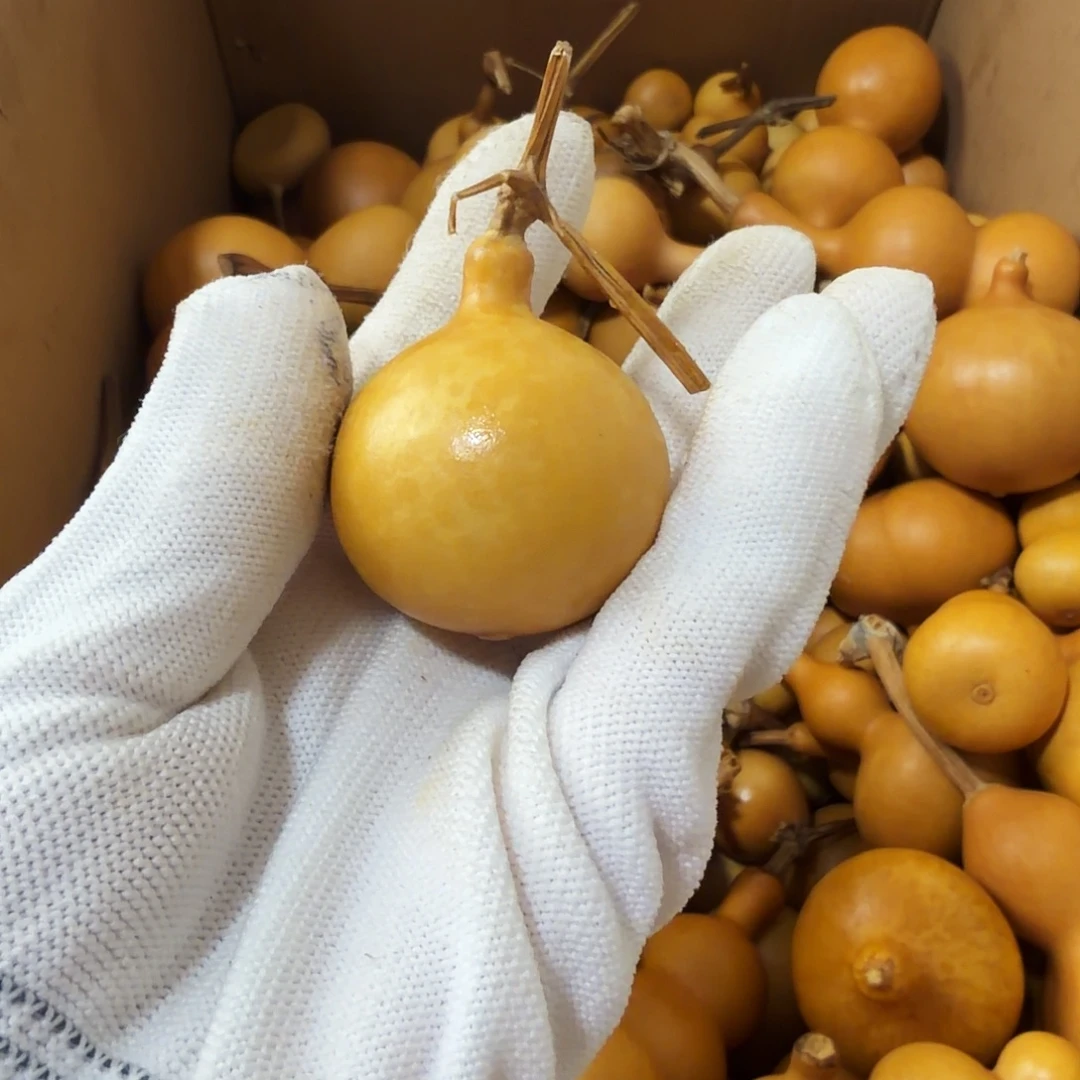 正***喜请确认好在下单23