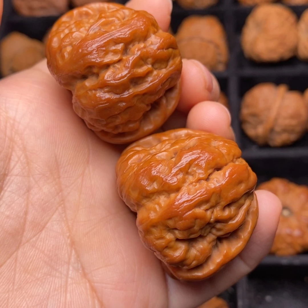 文玩核桃把件秦岭野生核桃