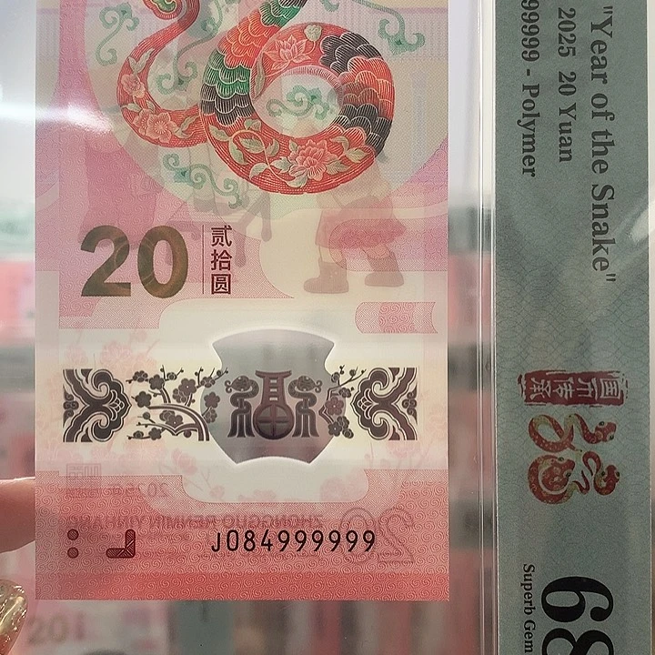 塑料金帆王，大象999999