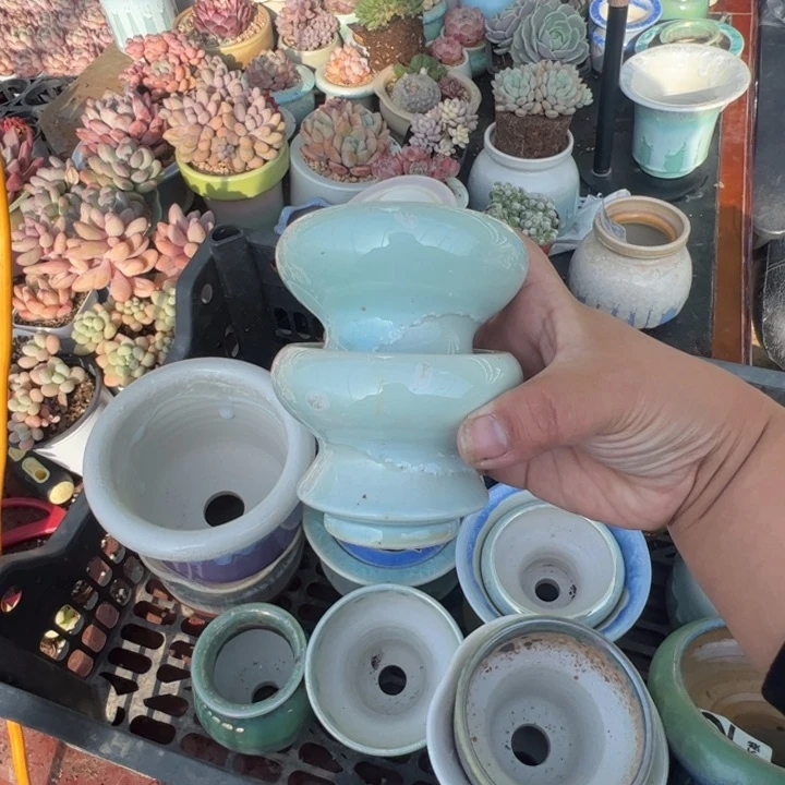 特价花盆满50发货内口7