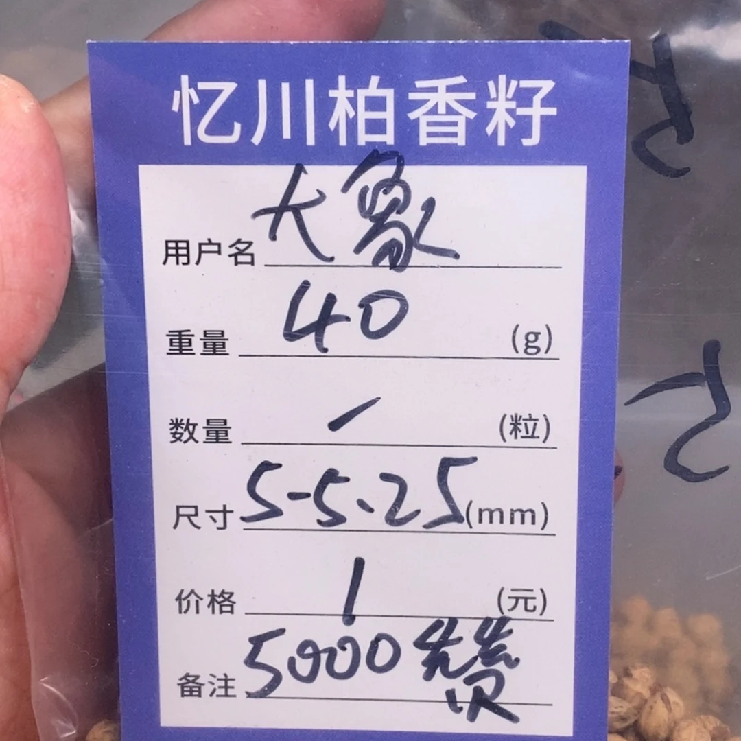 柏香籽/百香籽吊坠大***飞