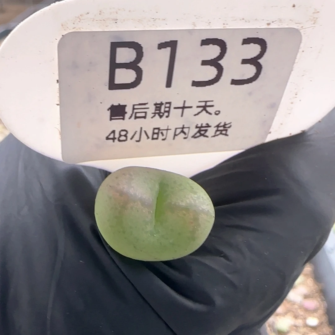 福利。   133。