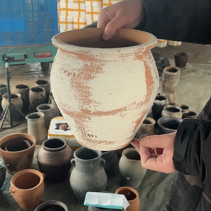 红陶029号21×18白瑕