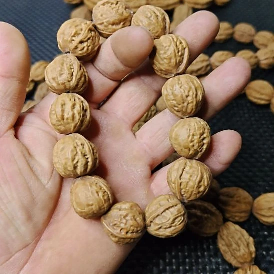 壮***木质类纯野生山核桃