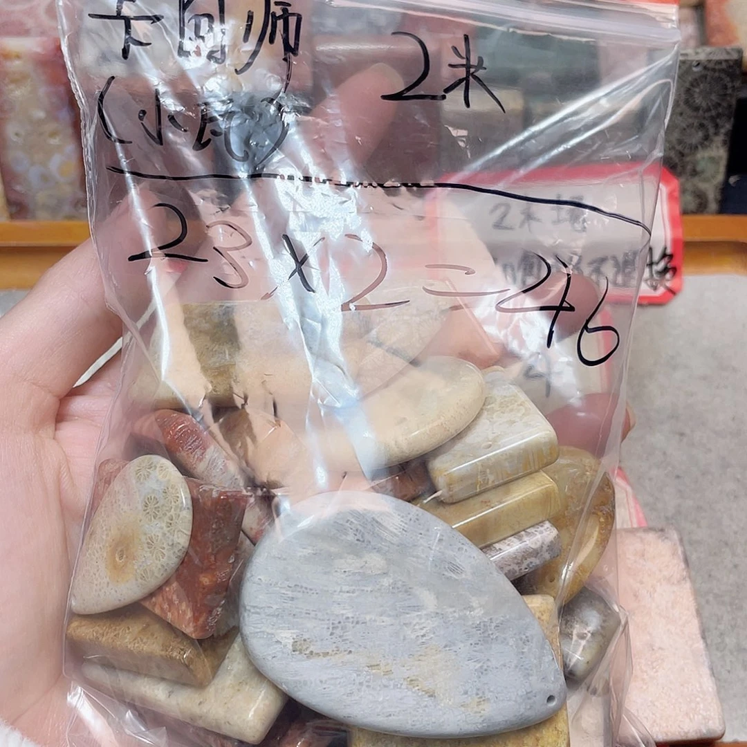 小***瓦硅化珊瑚（珊瑚玉）合金颈饰