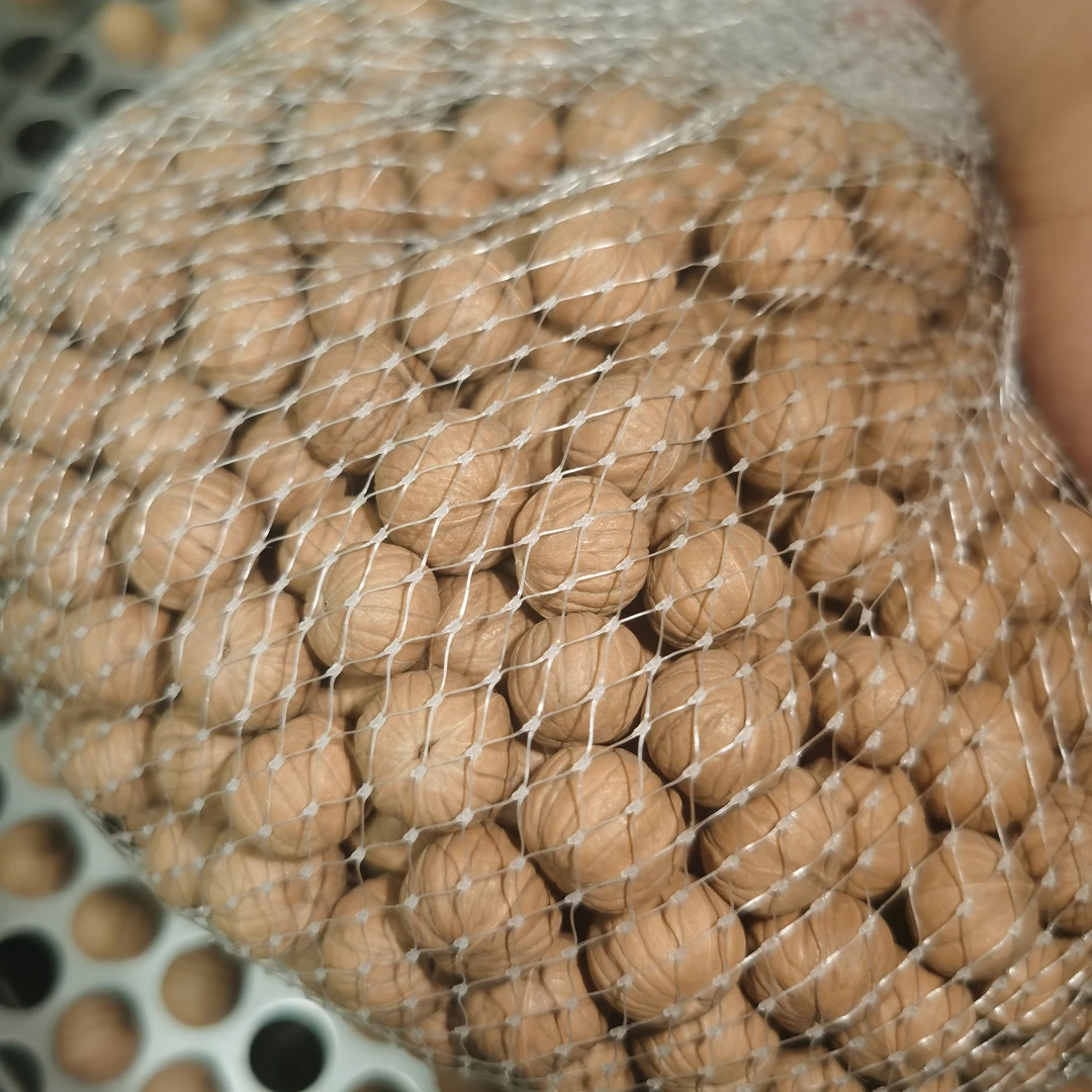 《南瓜》矮桩双岐南瓜散籽尺寸14-15，200粒