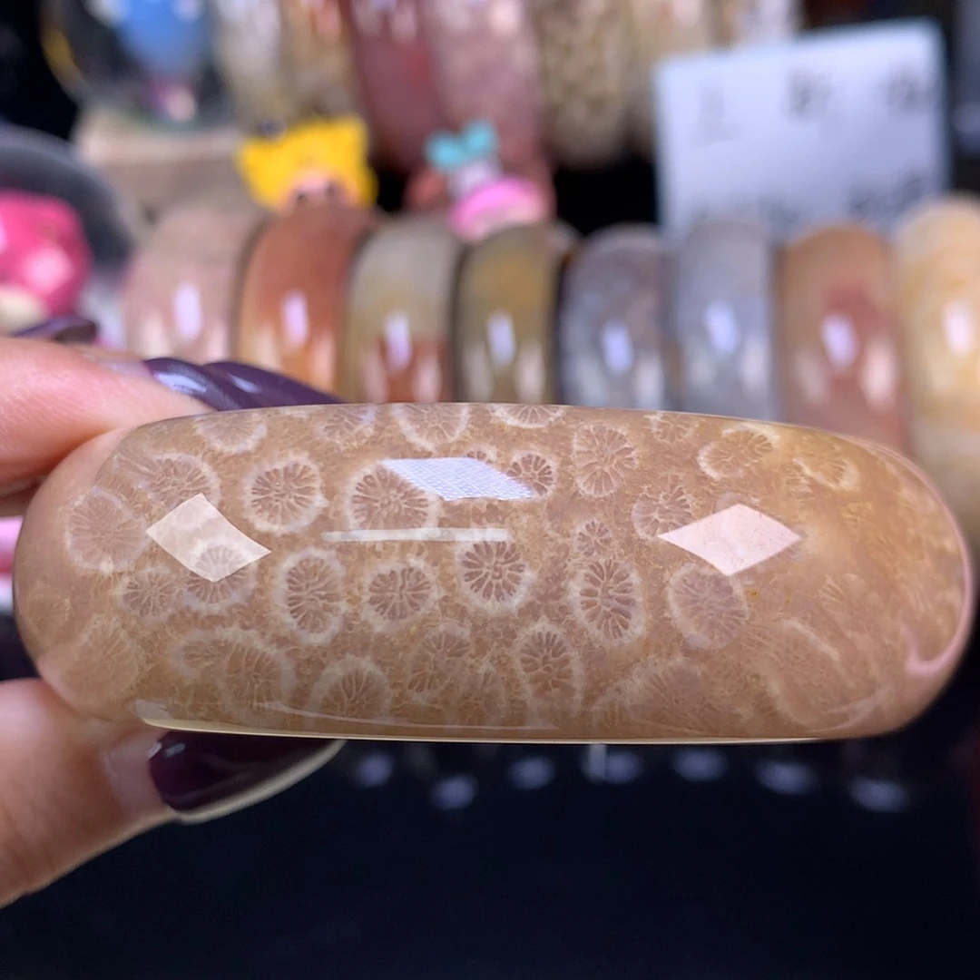 【闪购商品】颈饰未镶嵌硅化珊瑚（珊瑚玉）上新美货手镯61.2（17号）
