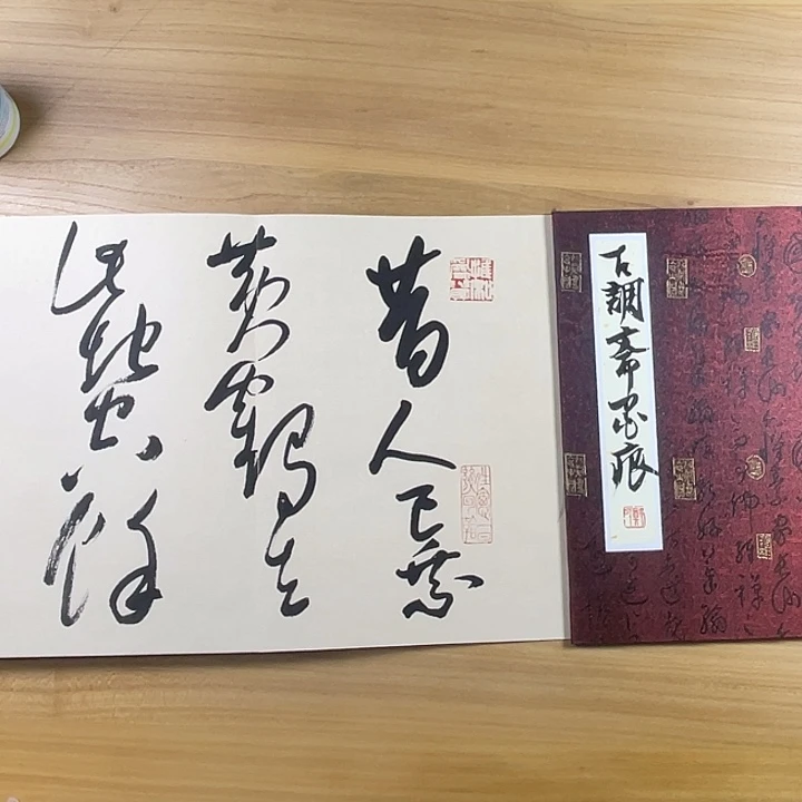 书法中书协会员作品