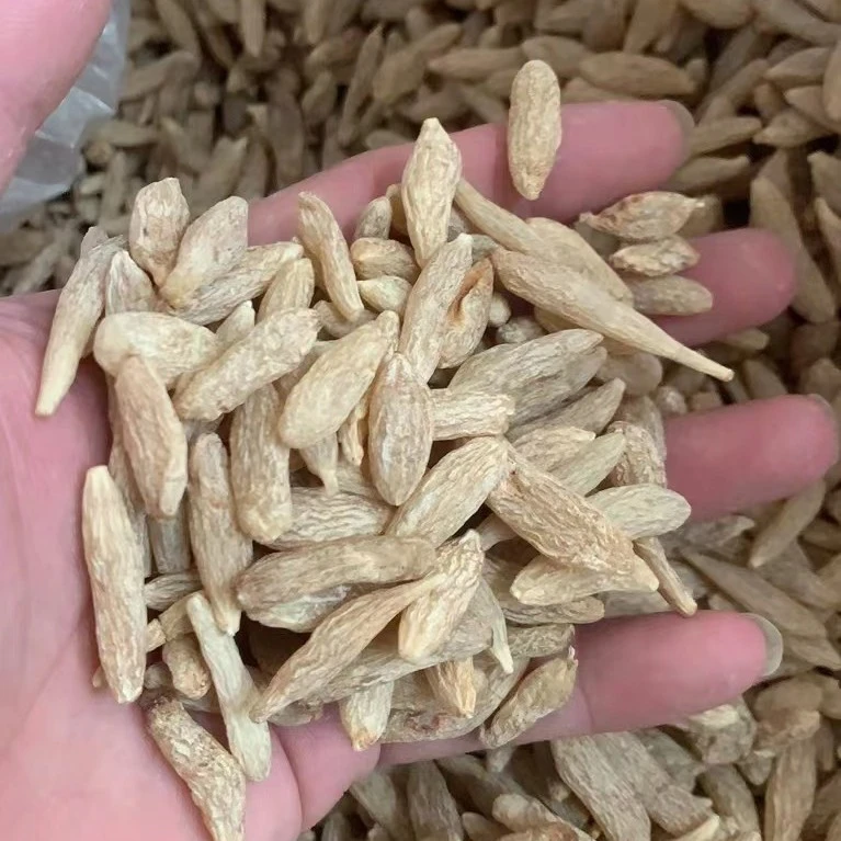 四川绵冬 麦冬500g
