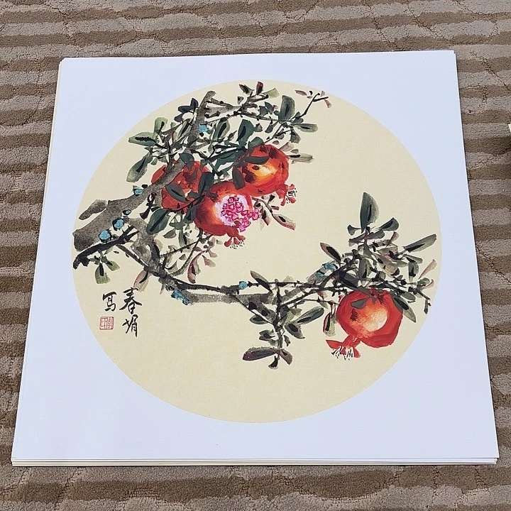 国画花鸟的翅膀和翅膀50.50