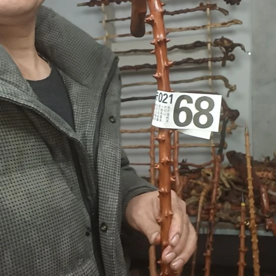 乐***o香榧木高山 檬子木文玩料