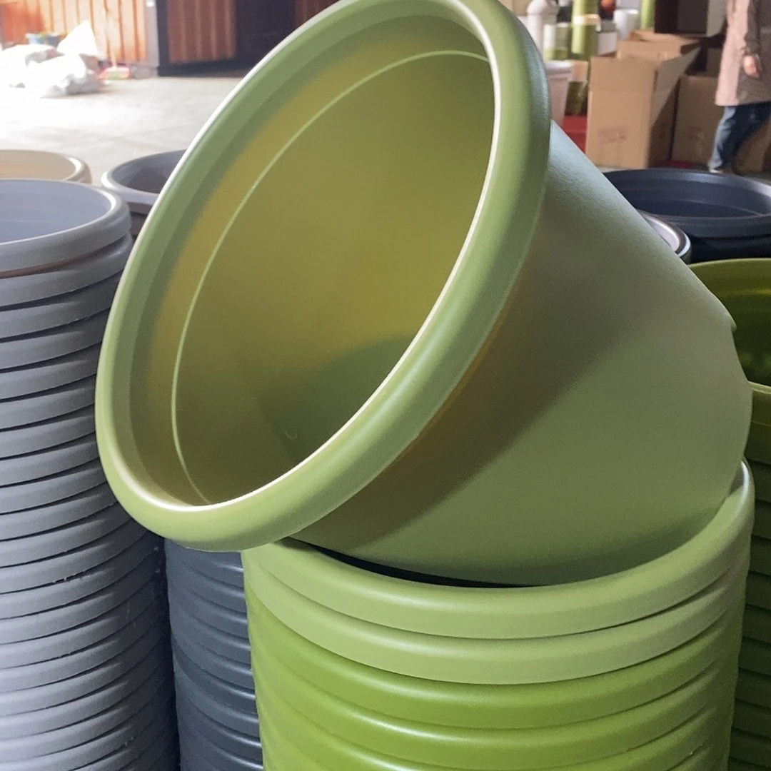 树脂特价5号果绿色6个无拖