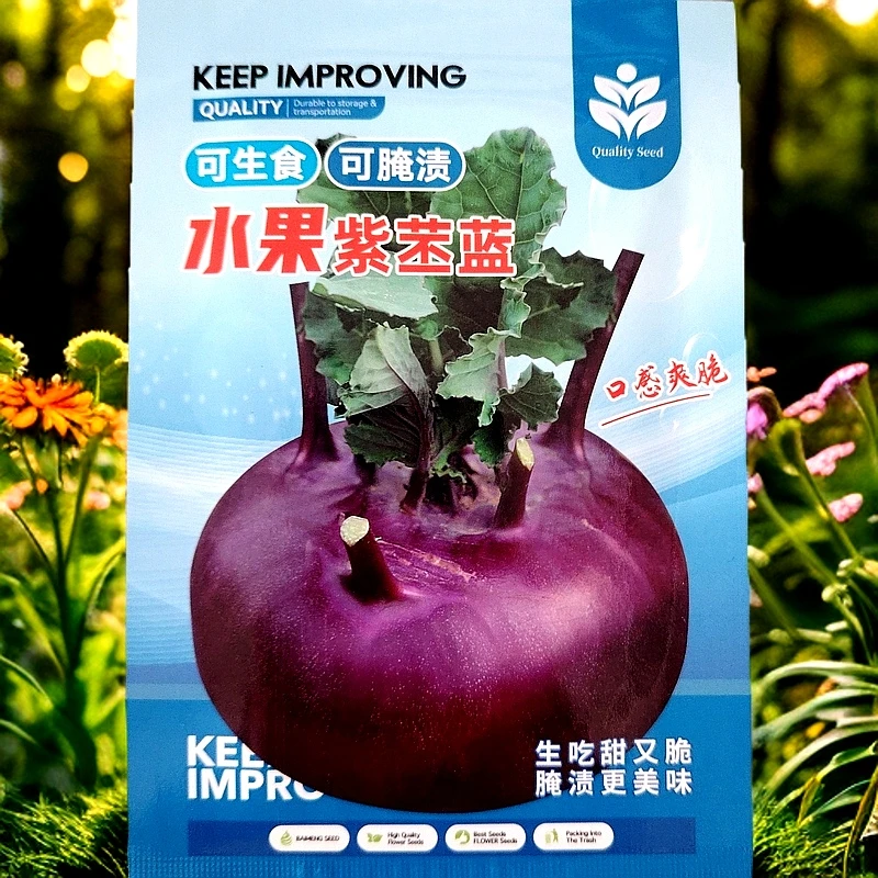 水果紫苤蓝籽500粒左右