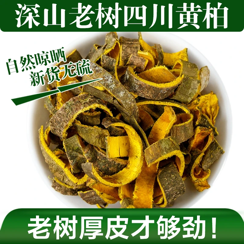 正宗四川黄柏皮泡水喝厚皮批发官方正品旗舰店