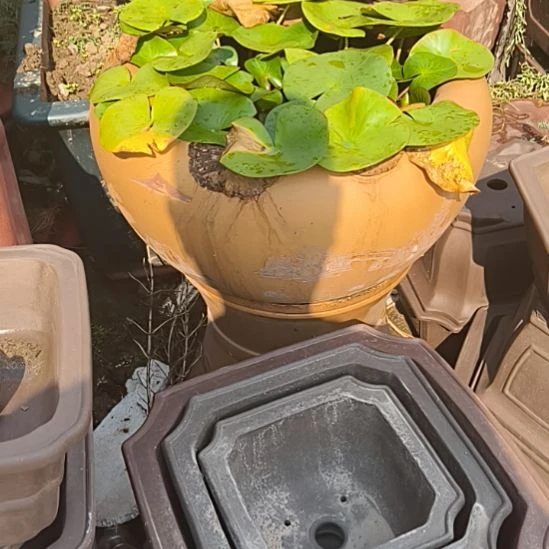 宜兴市丁蜀镇紫砂花盆