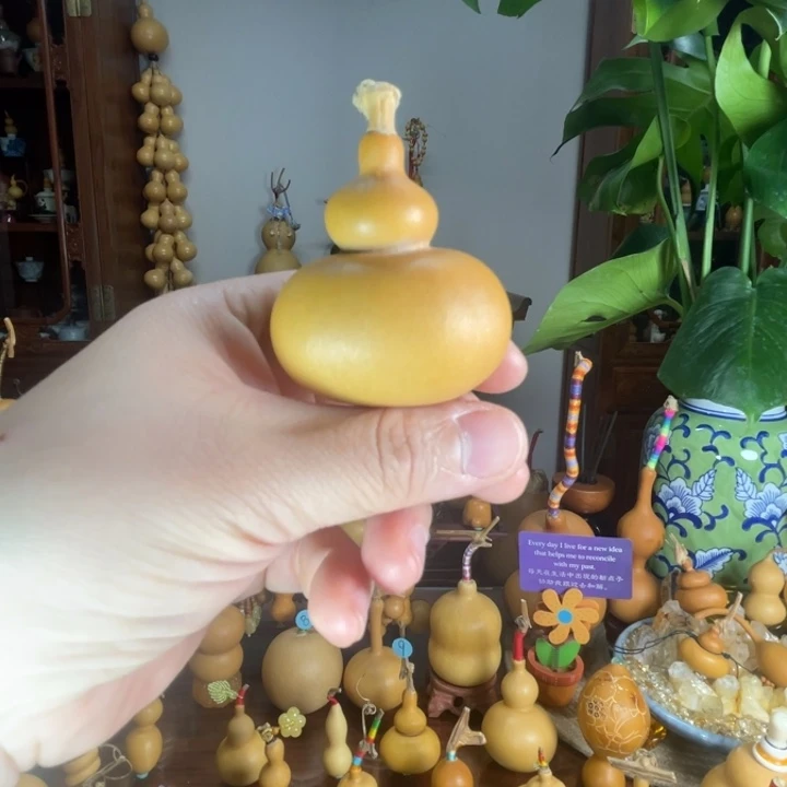 钱袋子型葫芦福福