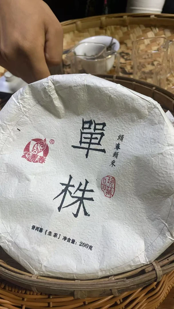 2023年冰岛南迫双胞胎茶王树单株200克饼-047BT-S10.0-F0190