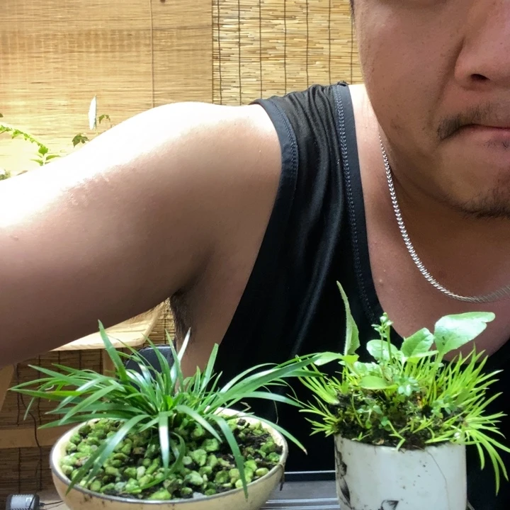 一物一拍所见即所得108