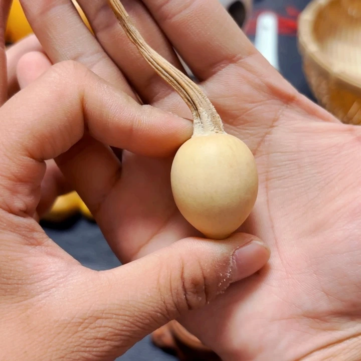 无*88888888888888888888