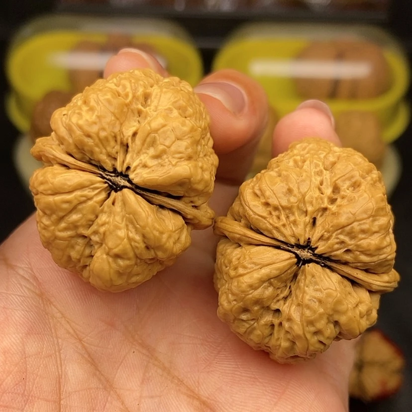 【闪购商品】文玩核桃把件38尺蝴蝶蟾