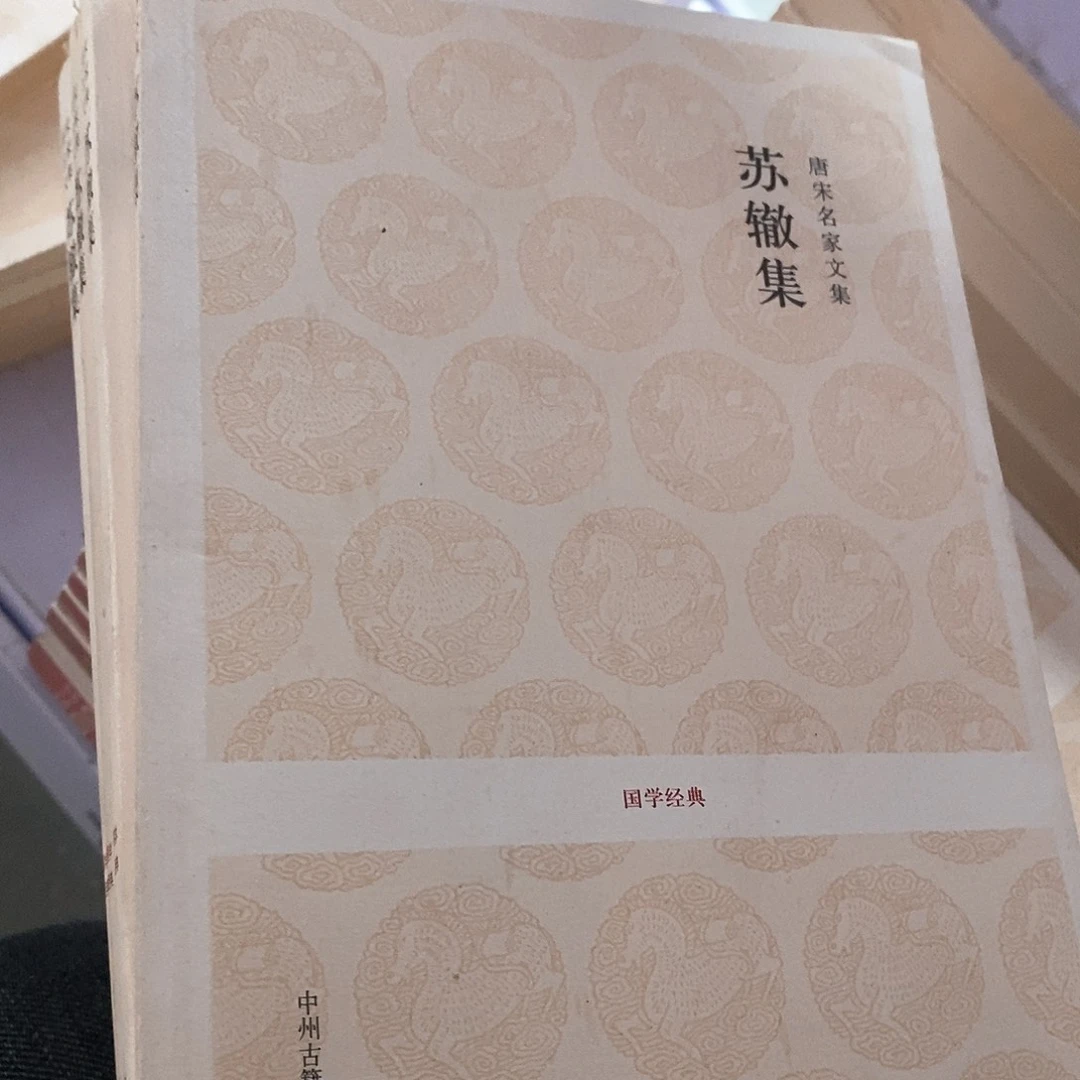 瑕疵锯口  苏辙……
