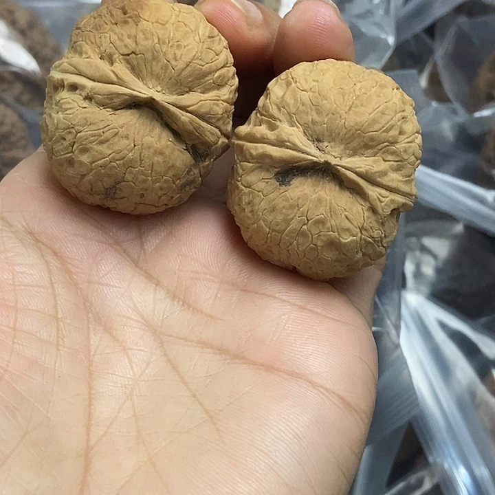 木质类云南铁核桃基地1