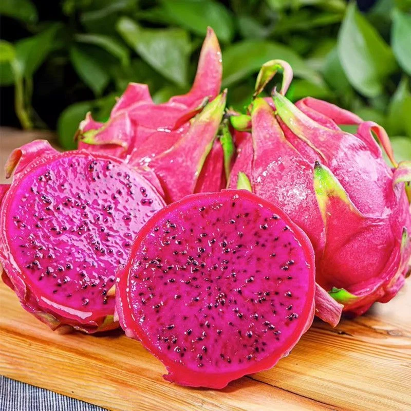 XY金都一号红心火龙果产地直发净重4.5斤装单果300g起约6-8个