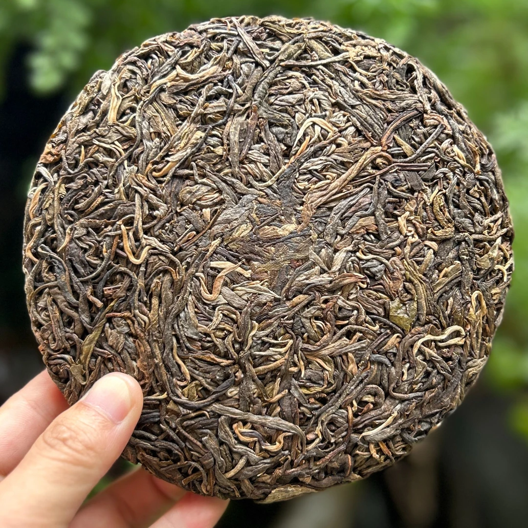 茗博世家19号普洱茶生茶熟茶