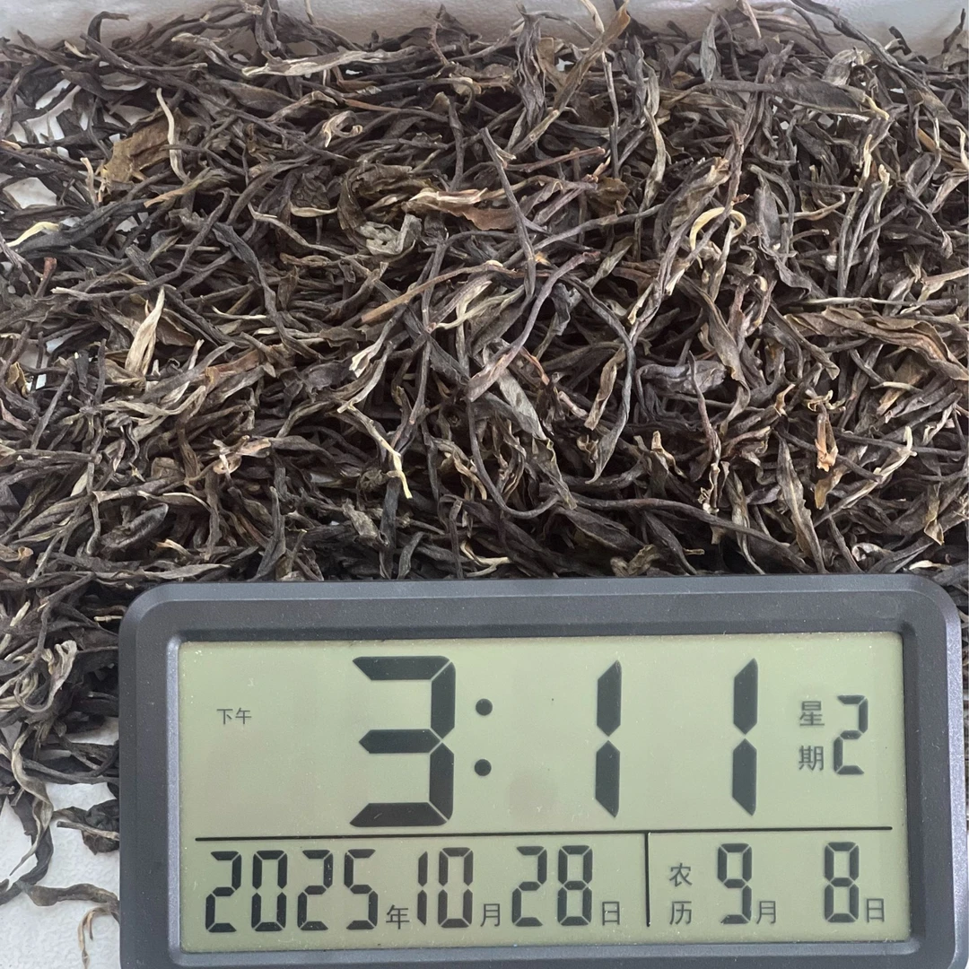 【助农】易武天门山高杆 头春 2025年 普洱生散 0758-10月28日