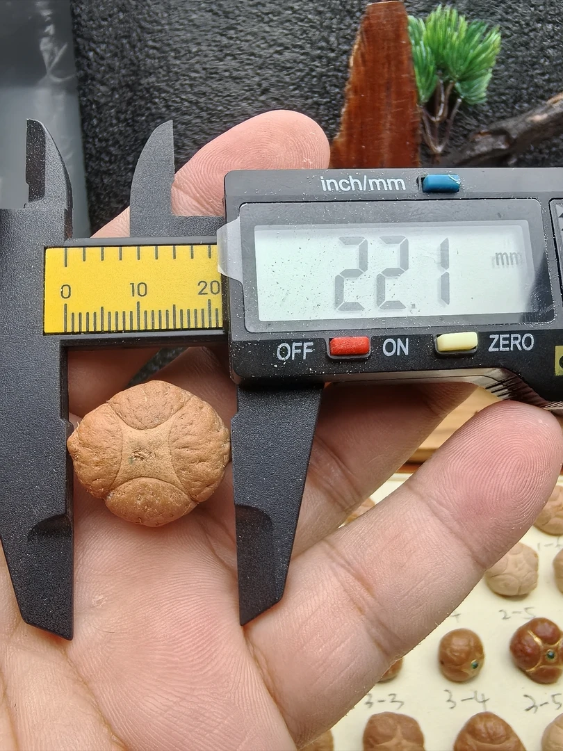 22.1大尺寸梅花麒麟三通