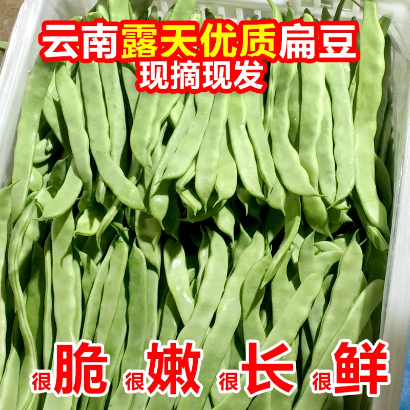 扁豆刀豆（精挑细选净重发货）云南露天扁豆新鲜现摘蔬菜高山豆角